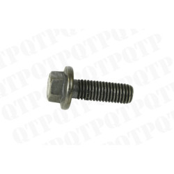 Flanged Screw