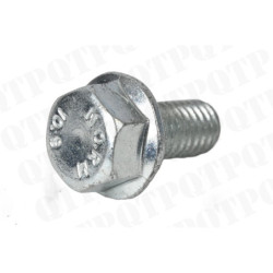 Bolt Hexagonal Head 