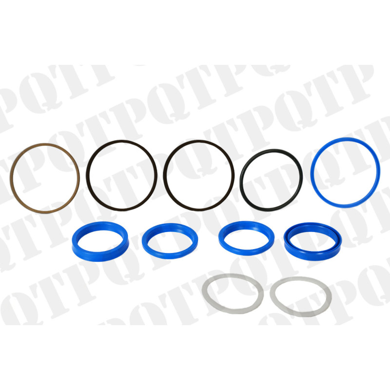 Steering Cylinder Seal Kit  tracteur 6020 500169 - photo cover